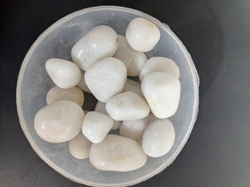 Glossy Stone Onex Pebbles - ChhajedGarden.com