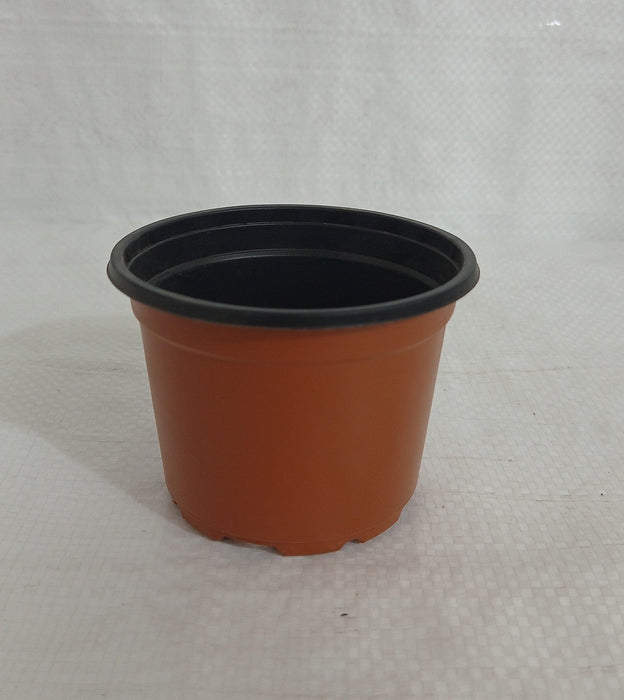 Thermoformed Pots (90 x 68 mm) (Pack of 12, Terracotta Color) - CGASPL