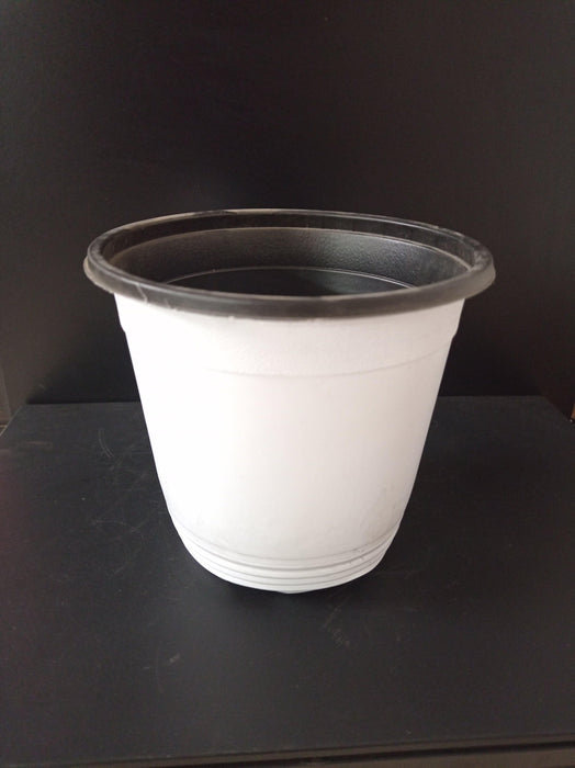 Thermoformed Pots (150 x 138 mm) (Pack of 12, White Color) - CGASPL