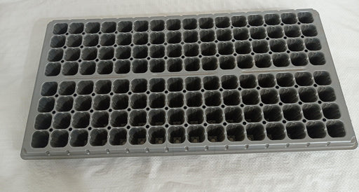 Seedling Tray Square 128 Cells (Pack of 12) - CGASPL