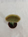 Grafted Greenish Cactus (Small) - CGASPL