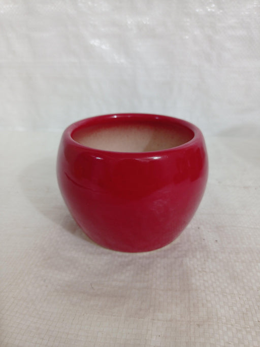 Red ceramic bowl plant pot