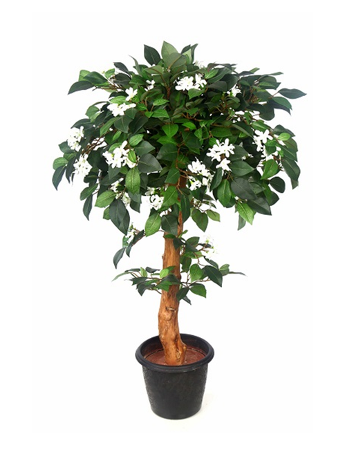 Artificial Jasmine Plant Topiary Natural Coffeee wood Plant - 3 Feet - CGASPL