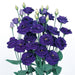 Lisianthus Rosita 2 Sapphire Flower Seeds - CGASPL