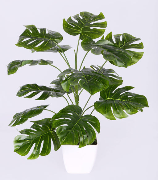 Artificial Monstera Plant Green 15 Leaves  - 18"  (Pack of 3 Plants ) - CGASPL