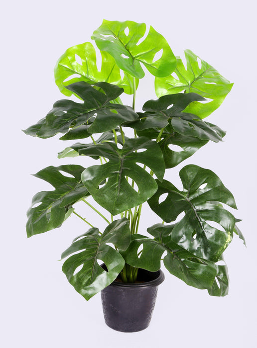 Artificial Monstera Plant Green 18 Leaves  - 2 feet (Pack of 3 Plants ) - CGASPL