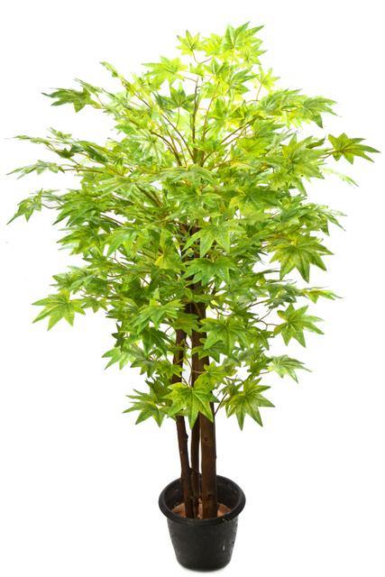 Artificial Maple Plant Green Natural Stick -3 Feet - CGASPL