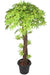 Artificial Maple Plant Green Topiary Natural Coffee Wood - 4 Feet - CGASPL