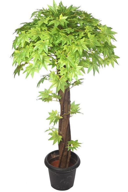 Artificial Maple Plant Green Topiary Natural Coffee Wood - 4 Feet - CGASPL