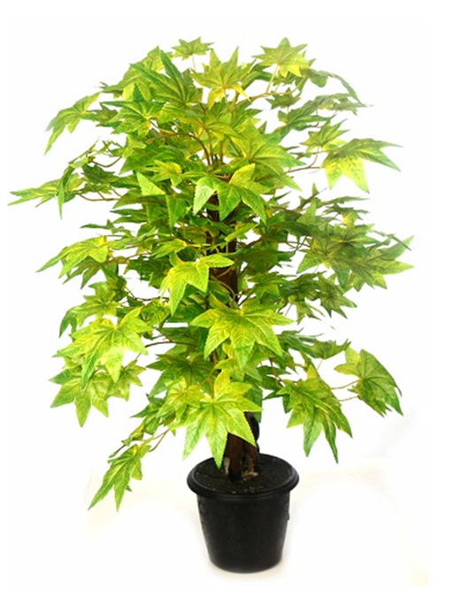 Artificial Maple Plant Green - 2 feet - CGASPL