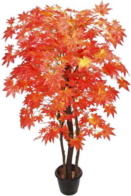 Artificial Maple Plant Red Natural Stick -3 Feet - CGASPL