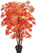 Artificial Maple Plant Red Natural Stick -3 Feet - CGASPL