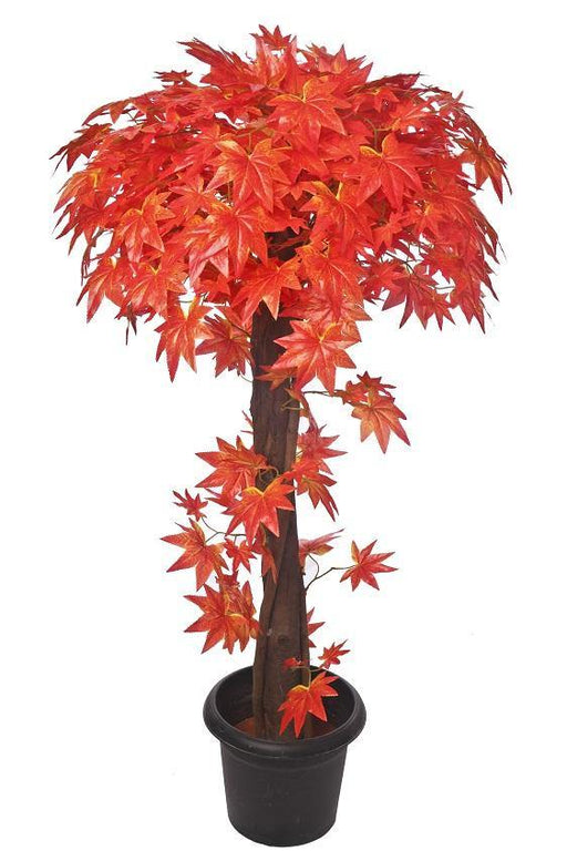 Artificial Maple Plant Red Topiary Natural Coffee Wood - 4 Feet - CGASPL
