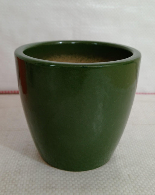Turtle green ceramic plant pot for elegant home decor