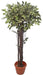 Artificial Mini V.G. Ficus Real Touch Topiary Plant - 4 Feet - CGASPL