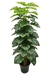 Artificial Monstera Green Plant - 5 feet - CGASPL