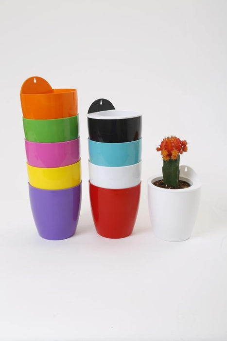 White-White Self Watering Hanging Planter Flower Pot - CGASPL