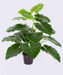Artificial Philodendron Plant 18 Leaves - 2 feet ( Pack of 3 Plants) - CGASPL