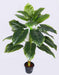 Artificial Philo Plant - 3 feet - CGASPL