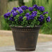 Petunia Double Gf. Cascade Blue Flower Seeds - ChhajedGarden.com