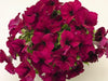 Petunia Success 360° Burgundy Pelleted Flower Seeds - CGASPL