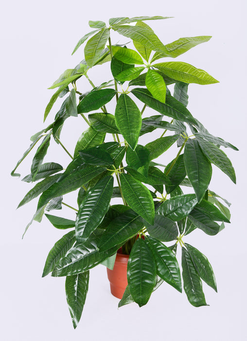 Artificial Rich Five Star Plant - 5 feet ( Pack of 3 Plants ) - CGASPL