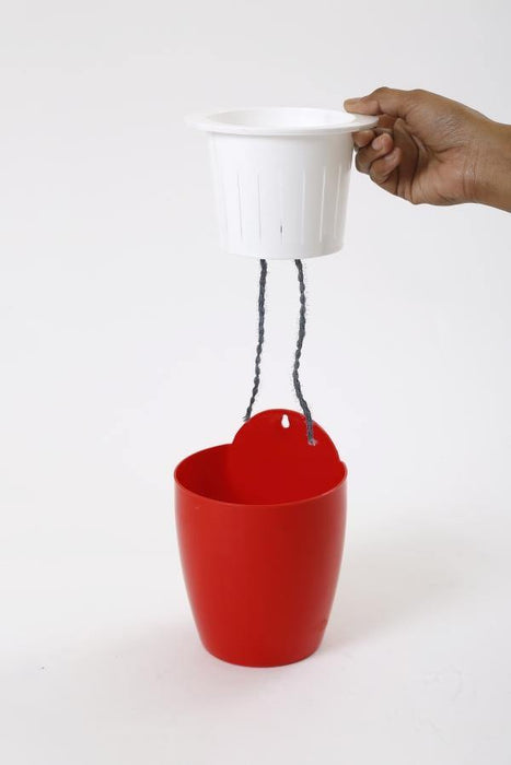 Red-White Self Watering Hanging Planter Flower Pot - CGASPL