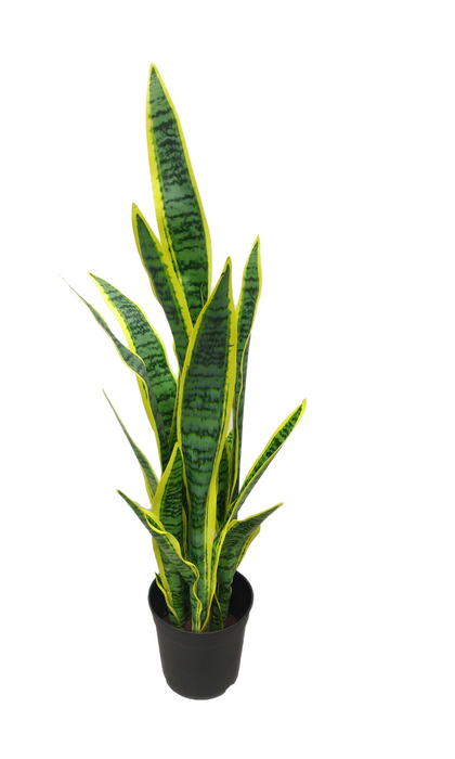Artificial Snake Plant Mother's in Law Tougue - 2 feet - CGASPL