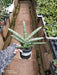 Indoor Sansevieria Cylindrica Boncel Plant 