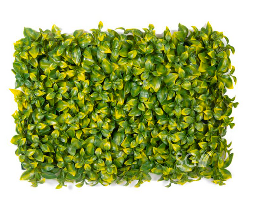 Artificial Vertical Garden  3969-O for Indoors only 60 cm*40 cm  (Pack of 37 Tiles  - Area covered  96.2 Sq. ft ) - CGASPL