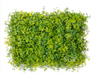 Artificial Vertical Garden  3743-V for Indoors only 60 cm*40 cm  (Pack of 32 Tiles  - Area covered  83.2 Sq. ft ) - CGASPL