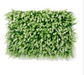 Artificial Vertical Garden  3743-D for Indoors only 60 cm*40 cm  (Pack of 58 Tiles  - Area covered  150.8 Sq. ft ) - CGASPL