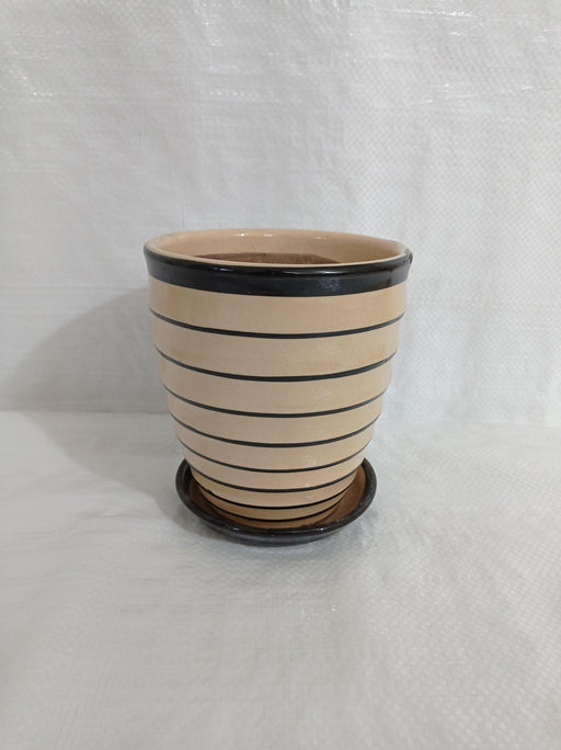 "Small eggs pot with bottom tray"
