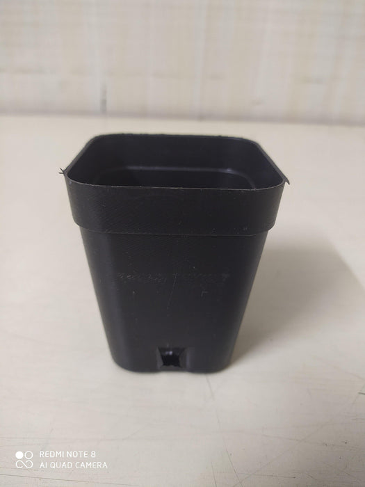 2.5" Square Pot - CGASPL