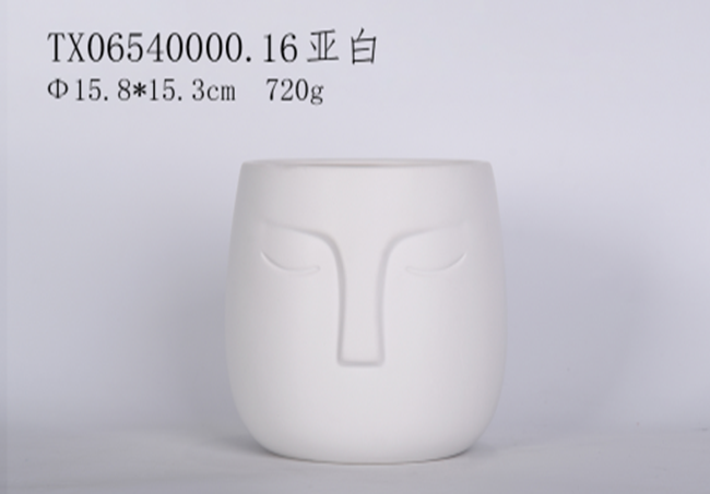 Premium Ceramic Pot with Versatile Design