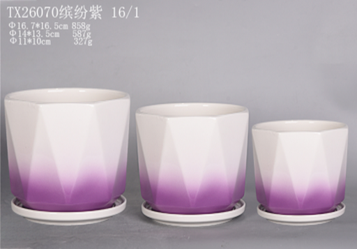 Fancy round ceramic plant pots in white and violet