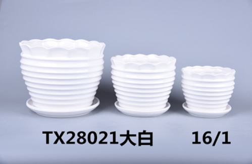 Minimalistic design ceramic pots for indoor plants