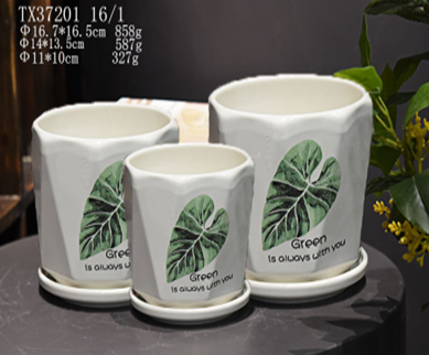 Minimalistic home décor plant pot