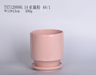 Stylish Pink Pot with Plate-Bottom Tray