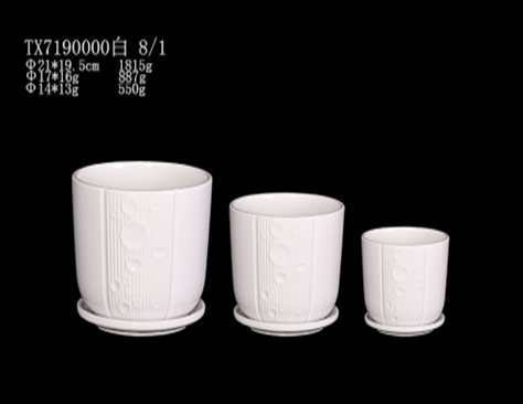 Elegant White Color - Charming and Stylish