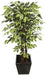 Artificial  Ficus Plant Varigated  Plant -3 Feet - CGASPL