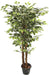 Artificial Variagted Ficus Plant  - 5 feet - CGASPL