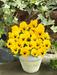 Viola Admire Yellow Blotch Flower Seeds - ChhajedGarden.com