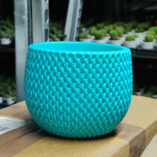 Decorative Plastic Pot | Small Plastic Plant Pots | Chhajed Garden