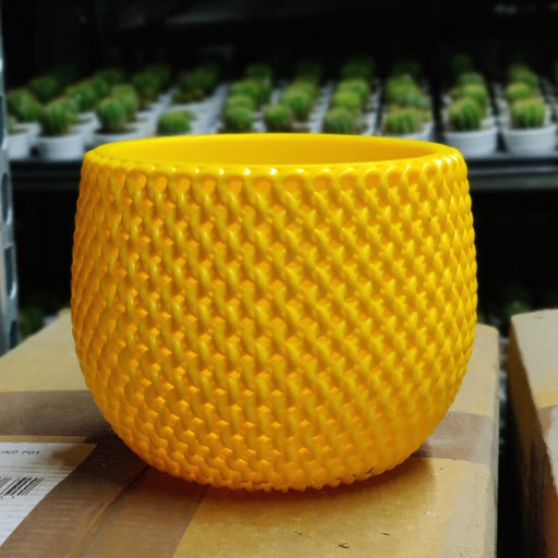 Decorative Plastic Pot | 18cm New York Yellow Pot | Chhajed Garden