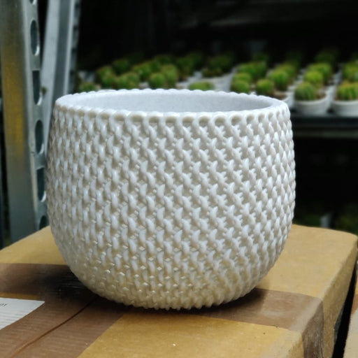 White Plastic Planter | 18 cm Decorative Plastic Pot | Chhajed Garden
