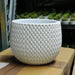 White Plastic Planter | 18 cm Decorative Plastic Pot | Chhajed Garden