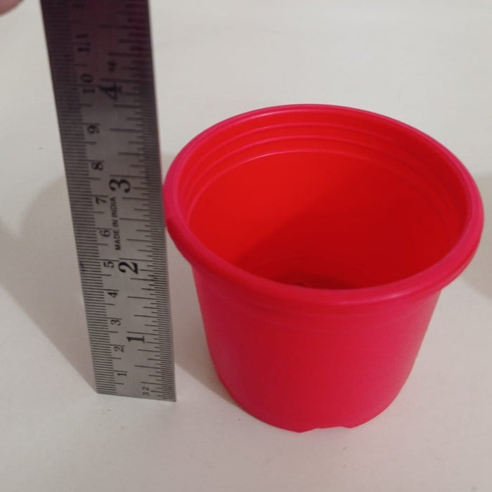 3" Sunrise Pot Red (8.5 cm)