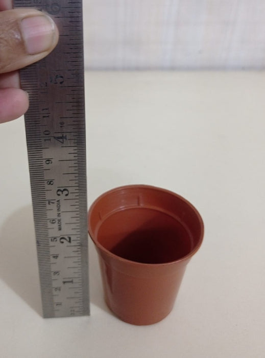 2" Sunrise Pot Terracotta (5.5 cm)