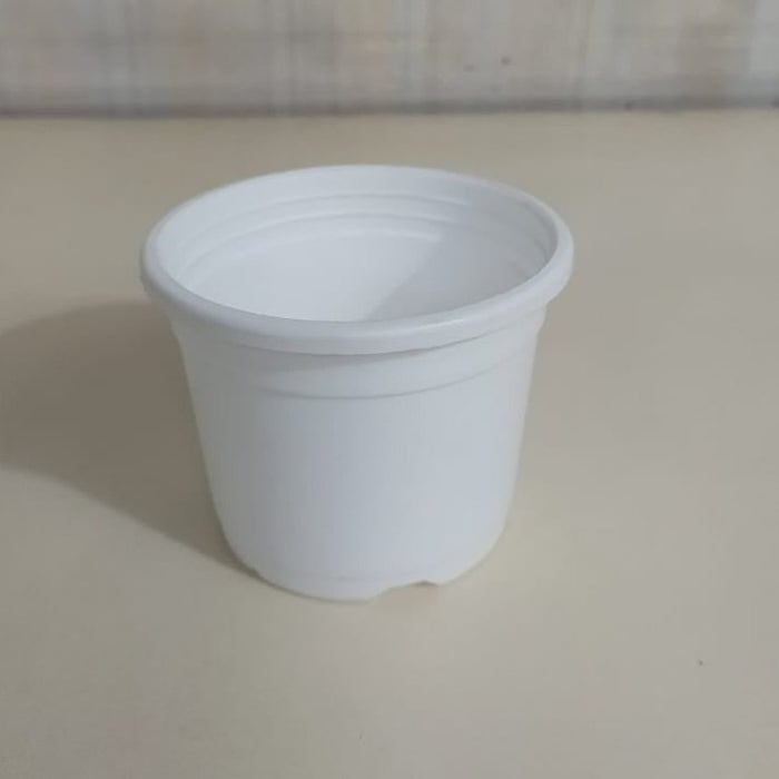 3" Sunrise Pot White (8.5 cm)